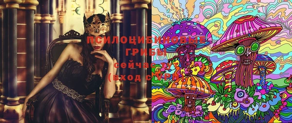 соль курить ск Алексеевка