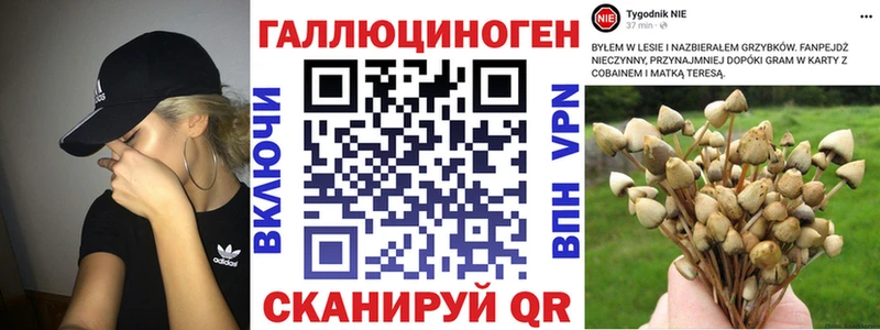 мориарти Telegram  omg рабочий сайт  Алушта  Псилоцибиновые грибы Psilocybine cubensis 