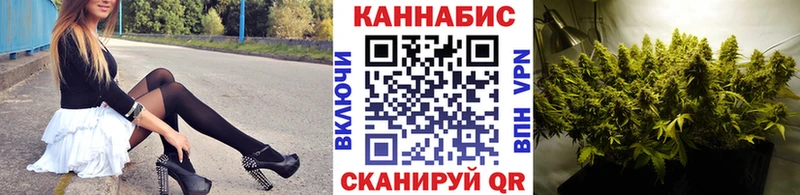 Конопля OG Kush  Алушта 
